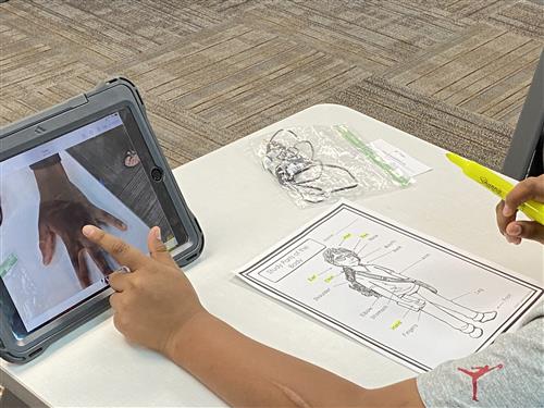 student using iPad to complete science work